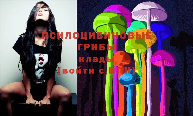 Псилоцибиновые грибы Cubensis  как найти закладки  Геленджик 